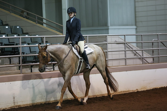 www.ngaphoto.com 2015 Georgia Federation of Saddle Clubs Championship Horse Show
