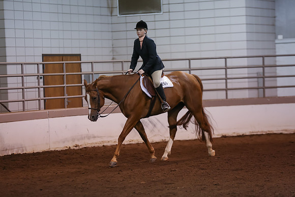 www.ngaphoto.com 2015 Georgia Federation of Saddle Clubs Championship Horse Show