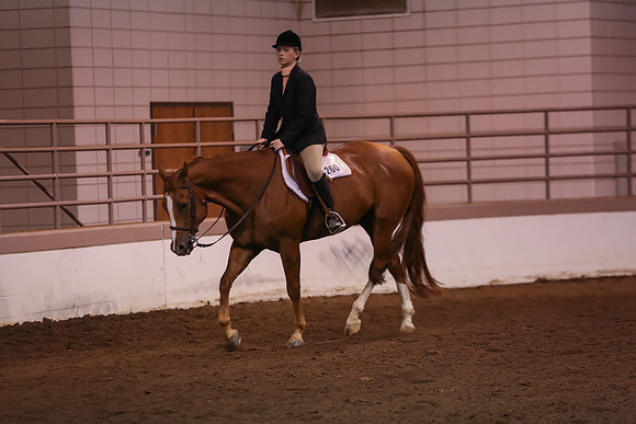 www.ngaphoto.com 2015 Georgia Federation of Saddle Clubs Championship Horse Show