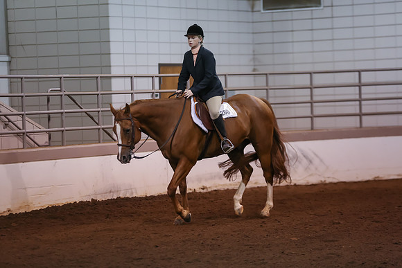 www.ngaphoto.com 2015 Georgia Federation of Saddle Clubs Championship Horse Show