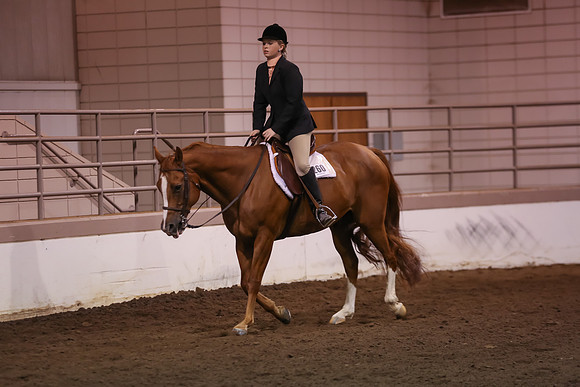 www.ngaphoto.com 2015 Georgia Federation of Saddle Clubs Championship Horse Show