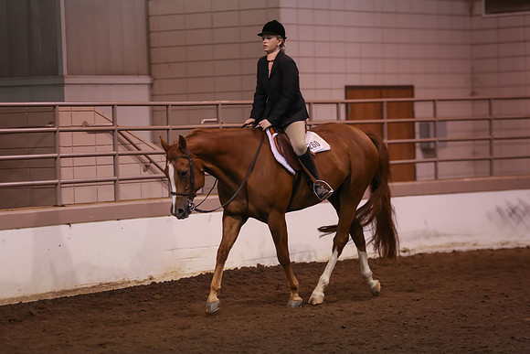 www.ngaphoto.com 2015 Georgia Federation of Saddle Clubs Championship Horse Show