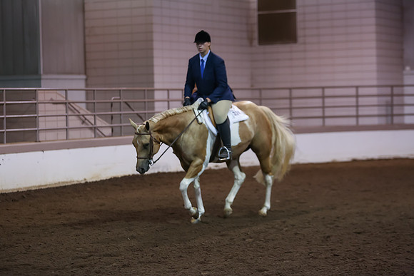 www.ngaphoto.com 2015 Georgia Federation of Saddle Clubs Championship Horse Show
