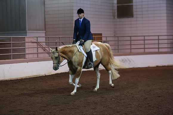 www.ngaphoto.com 2015 Georgia Federation of Saddle Clubs Championship Horse Show