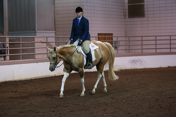 www.ngaphoto.com 2015 Georgia Federation of Saddle Clubs Championship Horse Show