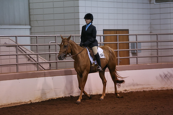www.ngaphoto.com 2015 Georgia Federation of Saddle Clubs Championship Horse Show