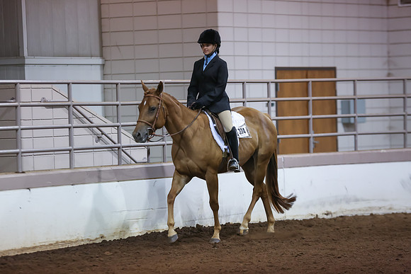 www.ngaphoto.com 2015 Georgia Federation of Saddle Clubs Championship Horse Show