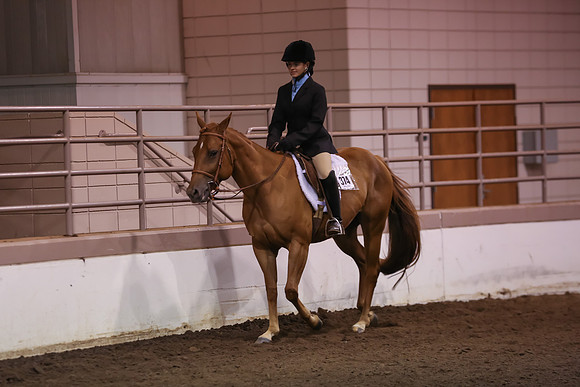 www.ngaphoto.com 2015 Georgia Federation of Saddle Clubs Championship Horse Show