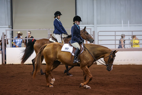 www.ngaphoto.com 2015 Georgia Federation of Saddle Clubs Championship Horse Show