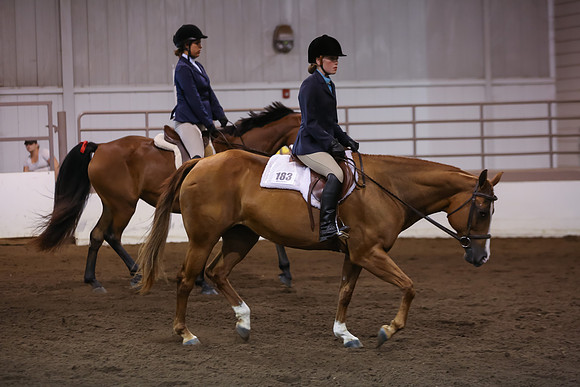 www.ngaphoto.com 2015 Georgia Federation of Saddle Clubs Championship Horse Show