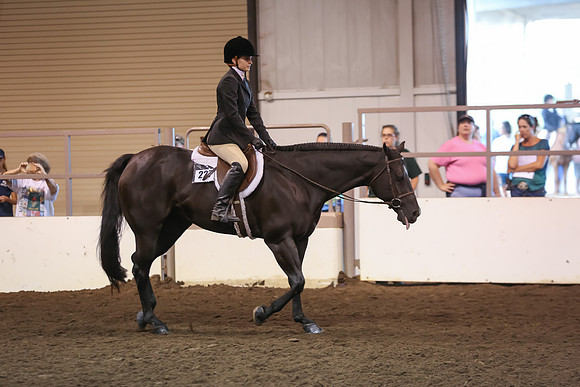 www.ngaphoto.com 2015 Georgia Federation of Saddle Clubs Championship Horse Show