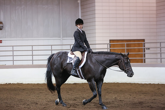www.ngaphoto.com 2015 Georgia Federation of Saddle Clubs Championship Horse Show