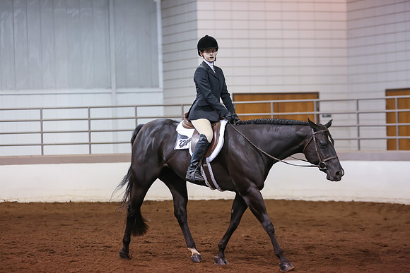 www.ngaphoto.com 2015 Georgia Federation of Saddle Clubs Championship Horse Show