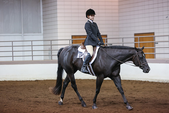www.ngaphoto.com 2015 Georgia Federation of Saddle Clubs Championship Horse Show