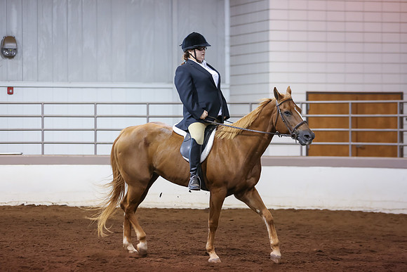 www.ngaphoto.com 2015 Georgia Federation of Saddle Clubs Championship Horse Show