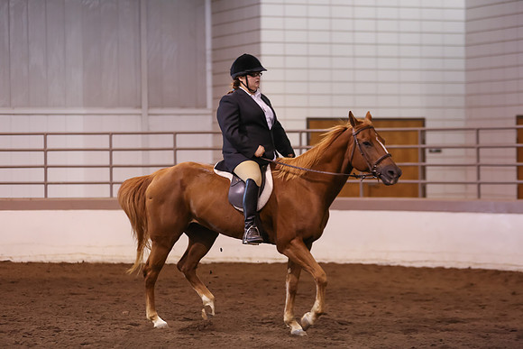 www.ngaphoto.com 2015 Georgia Federation of Saddle Clubs Championship Horse Show