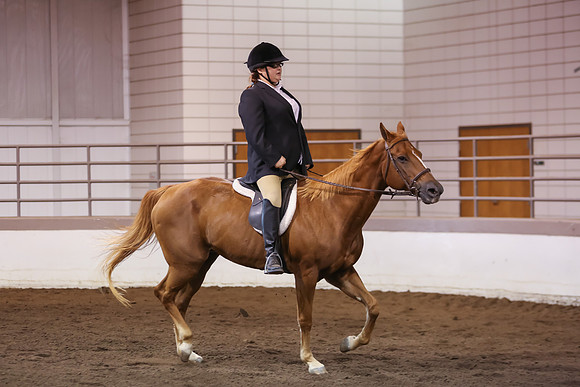 www.ngaphoto.com 2015 Georgia Federation of Saddle Clubs Championship Horse Show