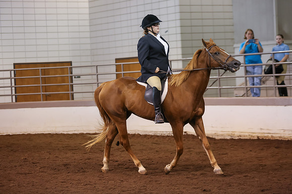 www.ngaphoto.com 2015 Georgia Federation of Saddle Clubs Championship Horse Show