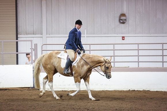 www.ngaphoto.com 2015 Georgia Federation of Saddle Clubs Championship Horse Show