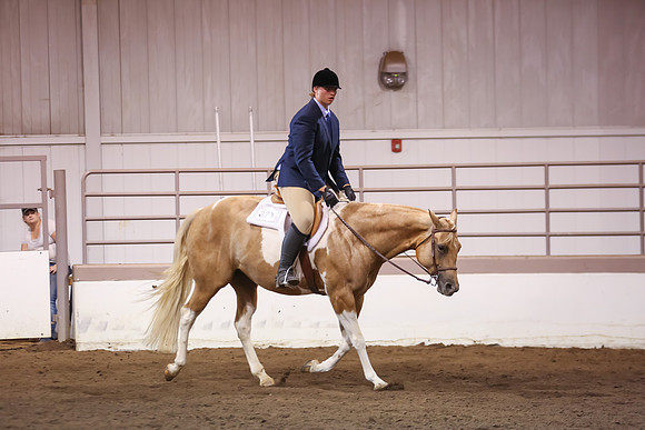 www.ngaphoto.com 2015 Georgia Federation of Saddle Clubs Championship Horse Show