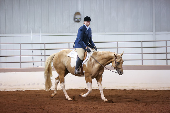 www.ngaphoto.com 2015 Georgia Federation of Saddle Clubs Championship Horse Show