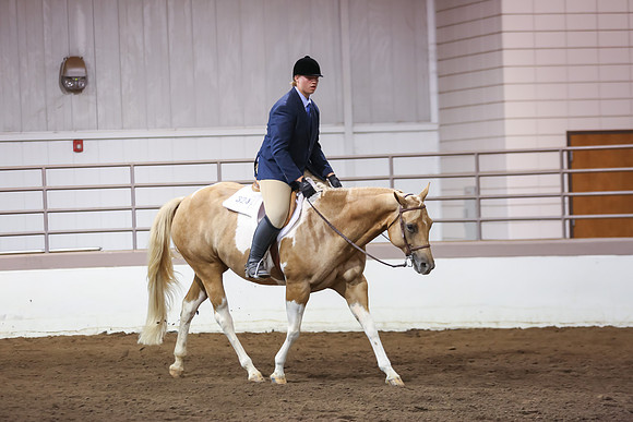 www.ngaphoto.com 2015 Georgia Federation of Saddle Clubs Championship Horse Show