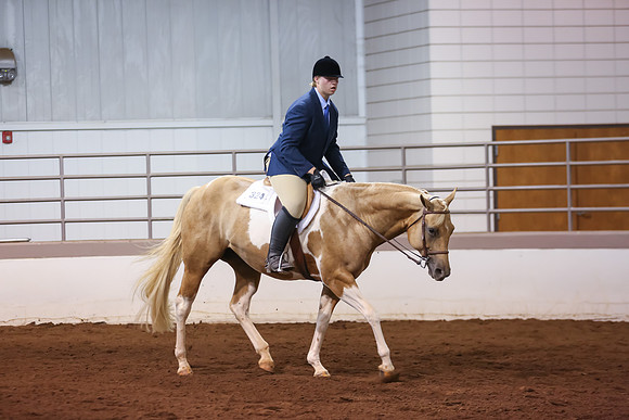 www.ngaphoto.com 2015 Georgia Federation of Saddle Clubs Championship Horse Show