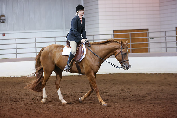 www.ngaphoto.com 2015 Georgia Federation of Saddle Clubs Championship Horse Show