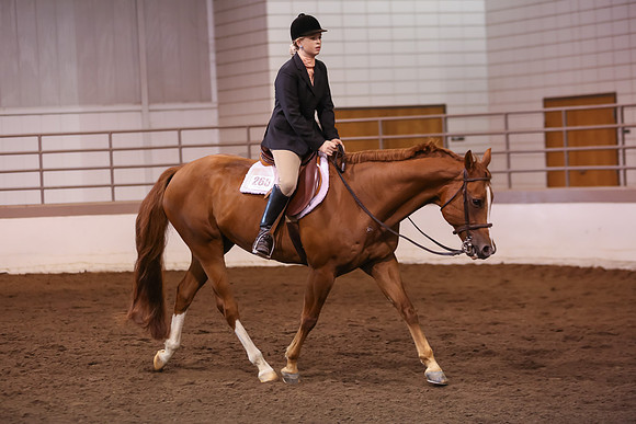 www.ngaphoto.com 2015 Georgia Federation of Saddle Clubs Championship Horse Show