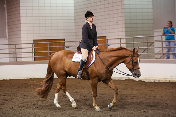 www.ngaphoto.com 2015 Georgia Federation of Saddle Clubs Championship Horse Show