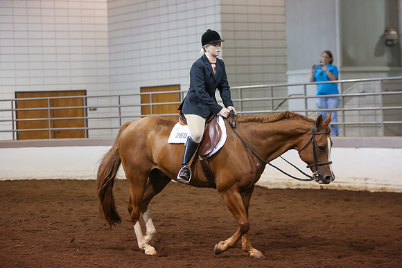 www.ngaphoto.com 2015 Georgia Federation of Saddle Clubs Championship Horse Show