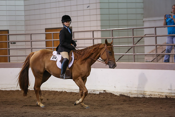 www.ngaphoto.com 2015 Georgia Federation of Saddle Clubs Championship Horse Show