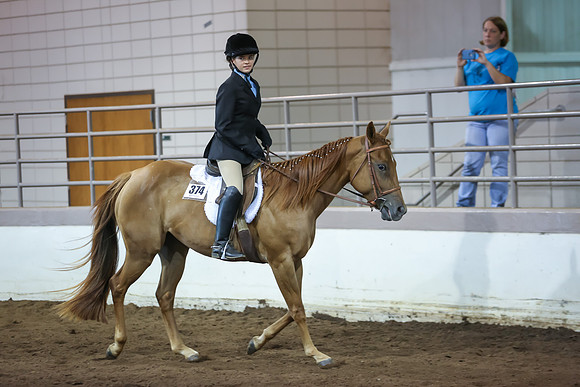 www.ngaphoto.com 2015 Georgia Federation of Saddle Clubs Championship Horse Show