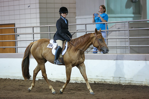 www.ngaphoto.com 2015 Georgia Federation of Saddle Clubs Championship Horse Show