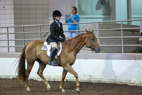 www.ngaphoto.com 2015 Georgia Federation of Saddle Clubs Championship Horse Show