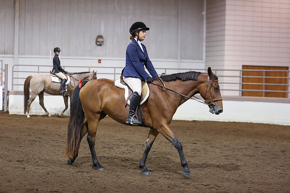 www.ngaphoto.com 2015 Georgia Federation of Saddle Clubs Championship Horse Show