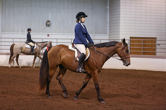 www.ngaphoto.com 2015 Georgia Federation of Saddle Clubs Championship Horse Show