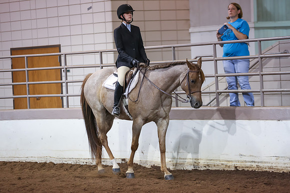 www.ngaphoto.com 2015 Georgia Federation of Saddle Clubs Championship Horse Show