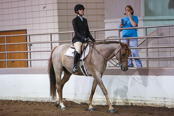 www.ngaphoto.com 2015 Georgia Federation of Saddle Clubs Championship Horse Show