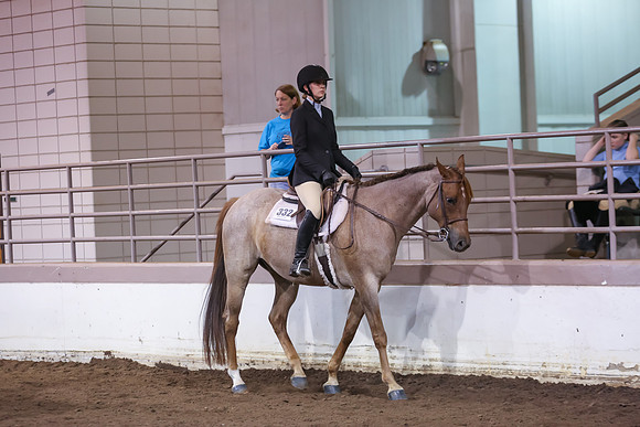 www.ngaphoto.com 2015 Georgia Federation of Saddle Clubs Championship Horse Show