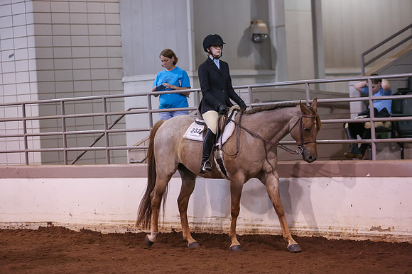 www.ngaphoto.com 2015 Georgia Federation of Saddle Clubs Championship Horse Show