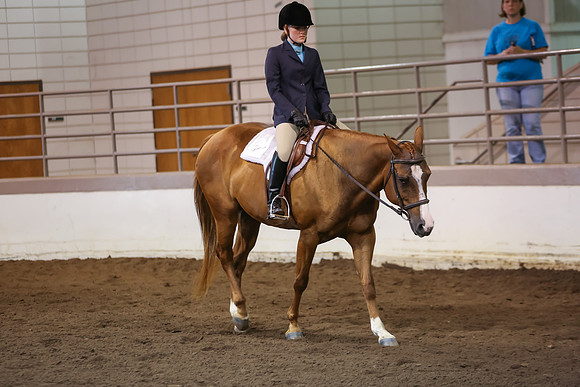 www.ngaphoto.com 2015 Georgia Federation of Saddle Clubs Championship Horse Show