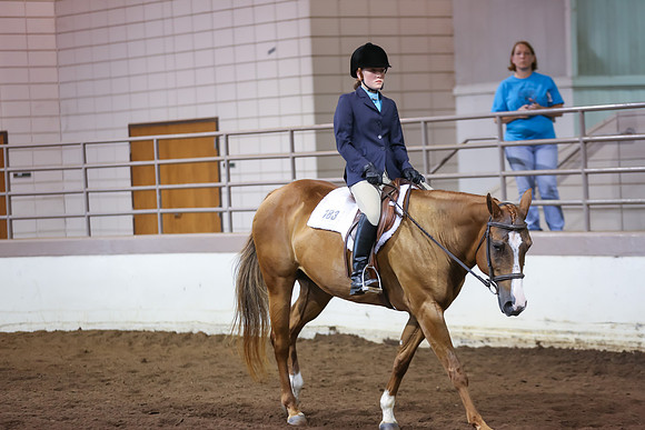 www.ngaphoto.com 2015 Georgia Federation of Saddle Clubs Championship Horse Show