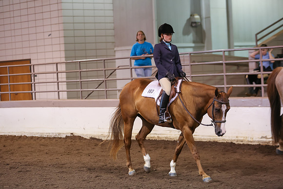 www.ngaphoto.com 2015 Georgia Federation of Saddle Clubs Championship Horse Show