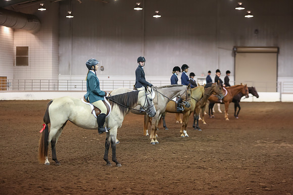 www.ngaphoto.com 2015 Georgia Federation of Saddle Clubs Championship Horse Show