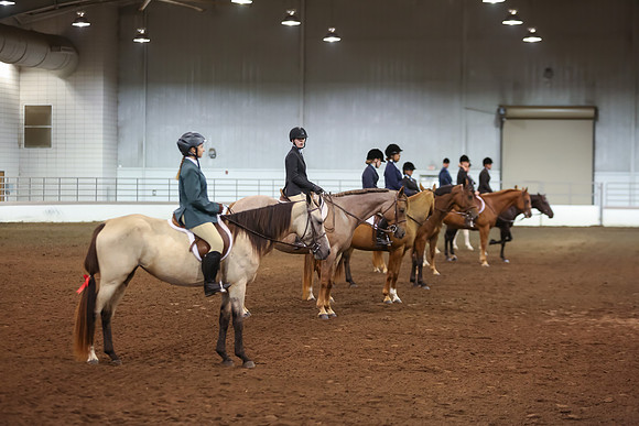 www.ngaphoto.com 2015 Georgia Federation of Saddle Clubs Championship Horse Show
