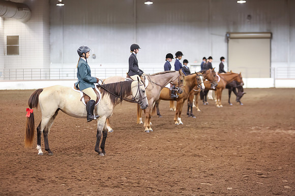 www.ngaphoto.com 2015 Georgia Federation of Saddle Clubs Championship Horse Show