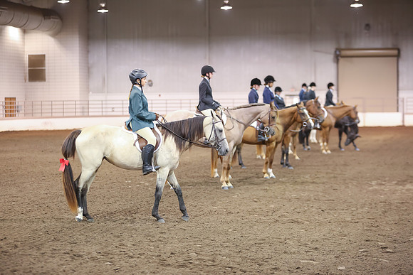 www.ngaphoto.com 2015 Georgia Federation of Saddle Clubs Championship Horse Show