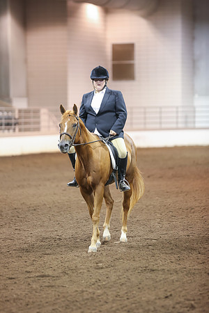 www.ngaphoto.com 2015 Georgia Federation of Saddle Clubs Championship Horse Show