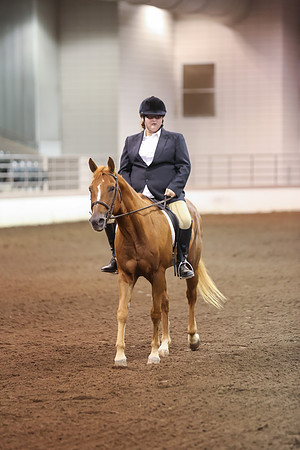 www.ngaphoto.com 2015 Georgia Federation of Saddle Clubs Championship Horse Show